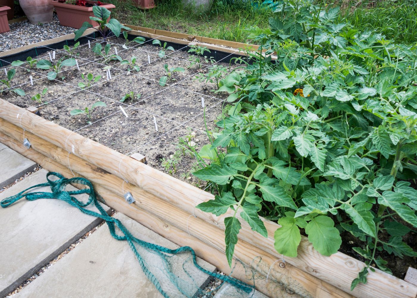 carré potager en bois